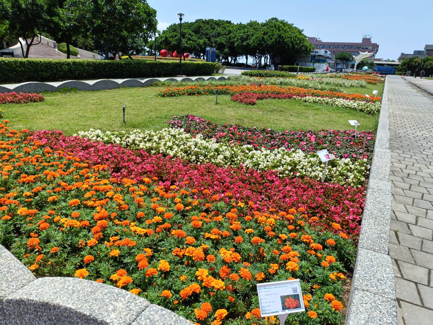 本次綠美化主要聚焦於喬木修剪、複層次植栽修剪、草坪整理、灌木與多年生草花的種植等項目,以提升整體景觀的層次與視覺效果